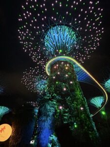 Naia Novak-Sijaj, ujet v občutku hvaležnosti.jpg